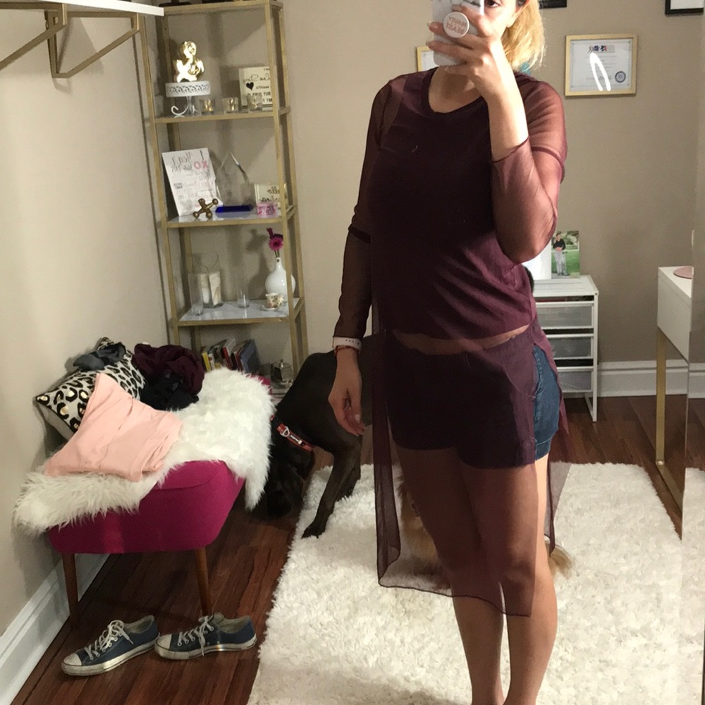 Zara mesh top